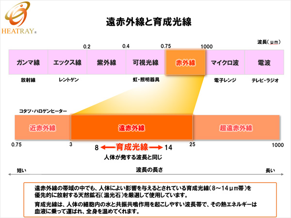 比較データ
